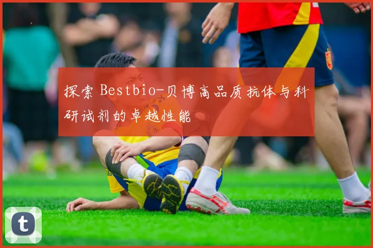 探索 Bestbio-贝博高品质抗体与科研试剂的卓越性能